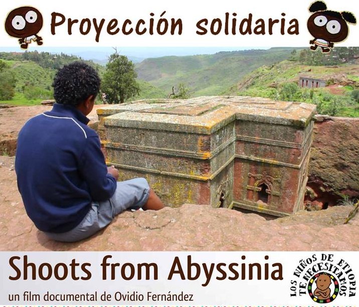 Shoots from Abyssinia